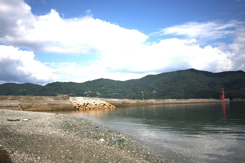 公園内にある穏やかな海水浴場では、海水浴はもちろん釣りにも最適。