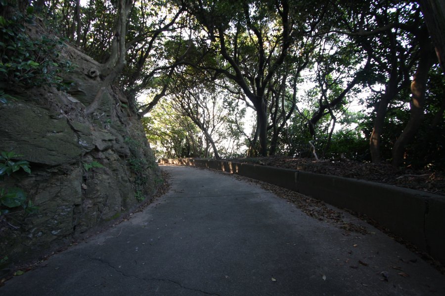 現在の散策路は、探照灯を移動させるために100m程のレールが敷かれた環状路だった。