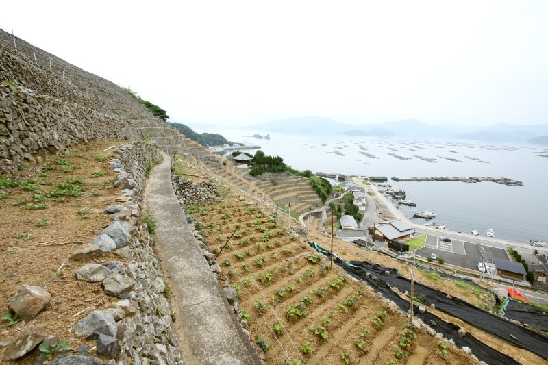 中腹からは宇和島湾を望むことができ、養殖のいけすや行きかう船も見ることができる。