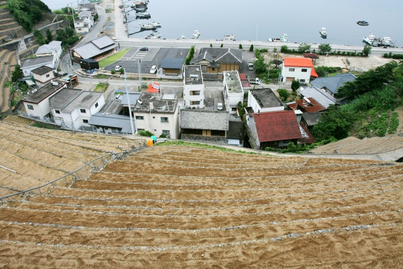 一歩足を踏み外すと、下まで転げ落ちて行くのではないかと思うほどの急峻な斜面に作られている。