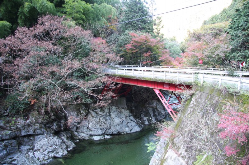 渓谷に一歩足を踏み入れると、聞こえてくるのは野鳥のさえずりと川のせせらぎ。自然が長い年月で織り成した渓谷美が堪能できる。