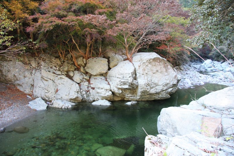 渓谷沿いに流れる水は川底が見えるほど澄んでいる。魚が泳ぐ姿を見ることもでき、訪れた人の目を楽しませている。