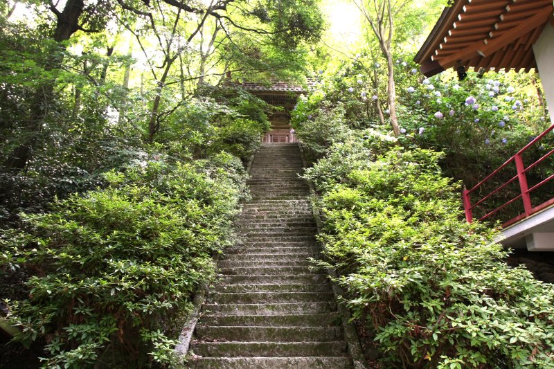 自然に溶け込みながらも、威厳のある雰囲気を醸し出す山門。