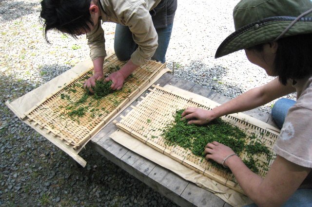 春にはよもぎ団子作り体験が行われ、多くの家族連れで賑わっている。また、四季折々の自然を活かした体験教室を年に約300回開催している。