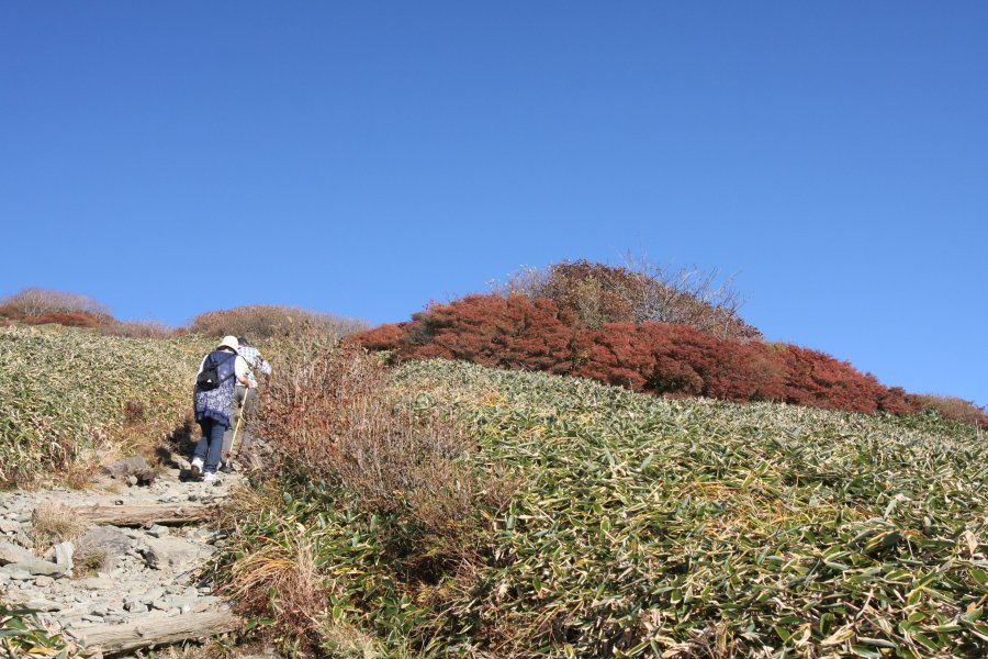 なだらかな斜面に整備された登山道は、ハイキング気分で比較的簡単に登ることが出来る。