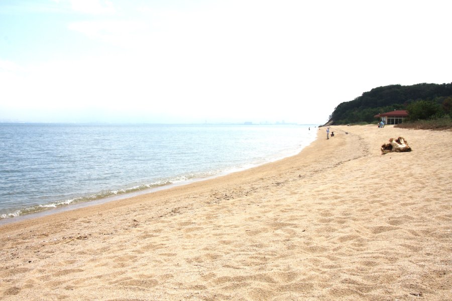 白い砂浜が広がる桜井海岸は、プライベートビーチ感覚で楽しむことができる、夏のレジャーを満喫できるスポット。