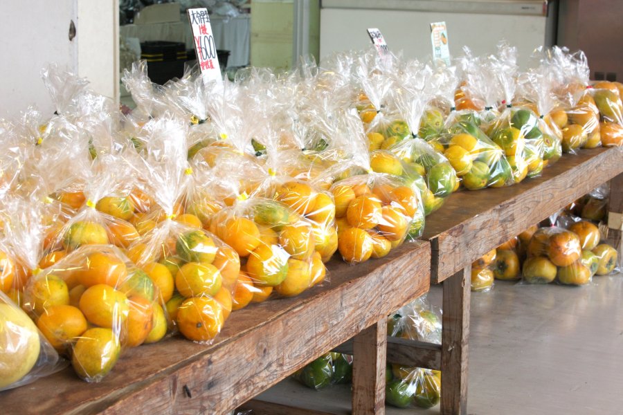 隣接されたりんりんパークーでは、愛媛県の特産品であるみかんなどの柑橘類が所狭しと並ぶ。地方発送も行っているので、愛媛のお土産にも最適。