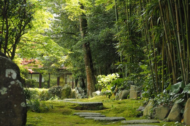 天赦園