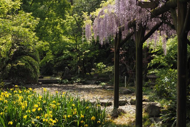 天赦園