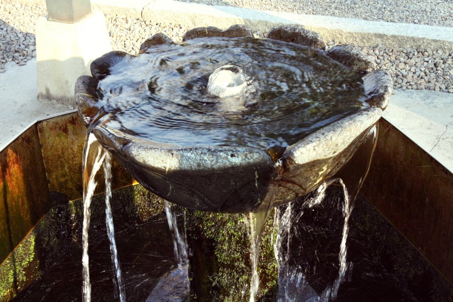 日本の名水百選の利き水で一位のうちぬき水。
