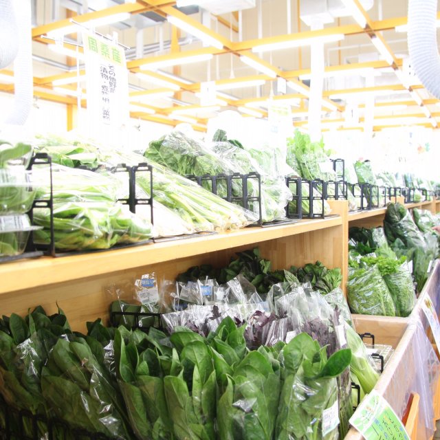 【西条市】周ちゃん広場