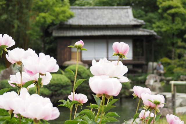 天赦園