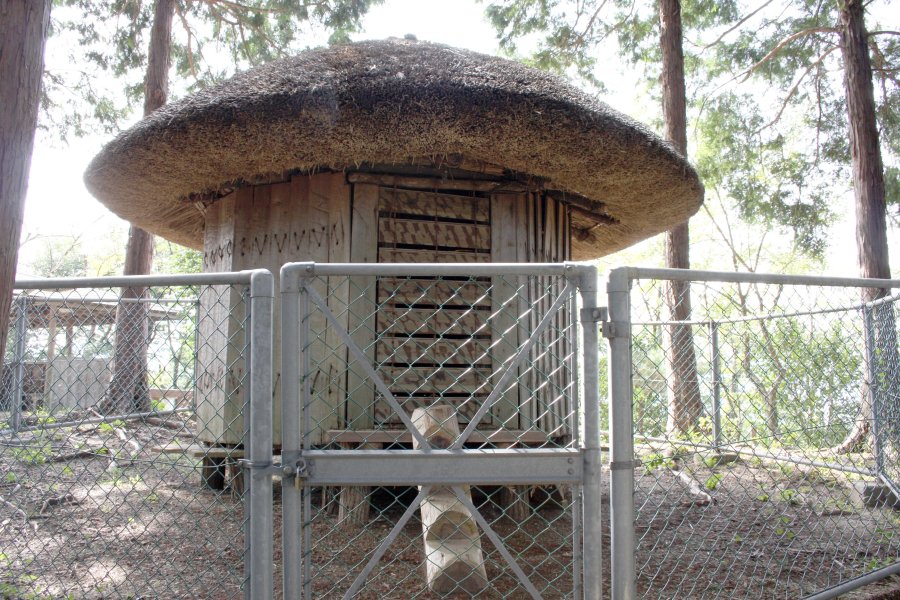 精密に復元された高床式円形倉庫。当時、籾（もみ）などを保管していたと考えられている。