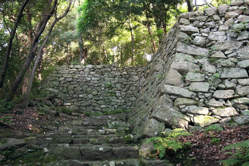 苔むした石垣や石段は、まるで古代遺跡を訪れたような錯覚すら覚える。