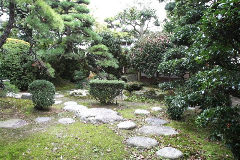 「樟蔭（しょういん）」と名付けられた本格的な茶室を有する風情ある中庭は、店舗兼居宅からも数奇屋からも眺めて楽しむことができる。