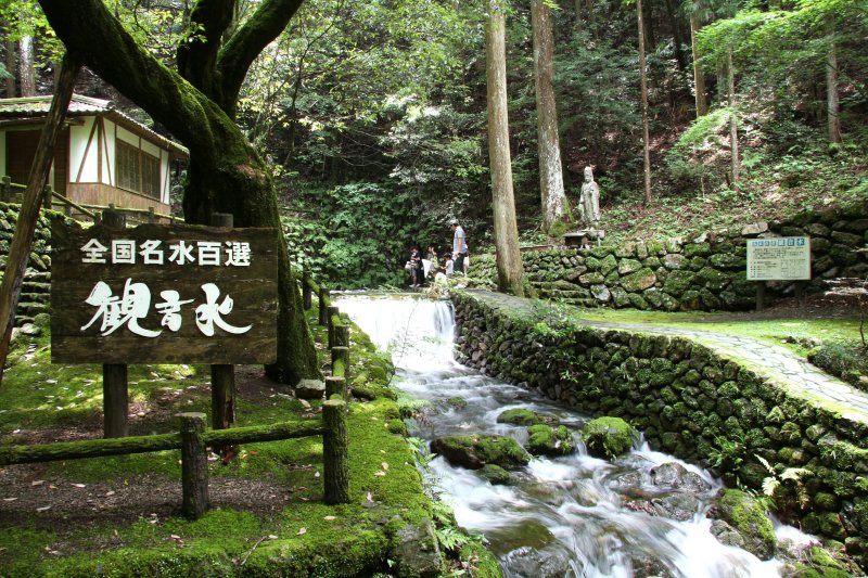 遊歩道を登りきると湧出口があり、ひんやりとして幽玄の世界が広がる。