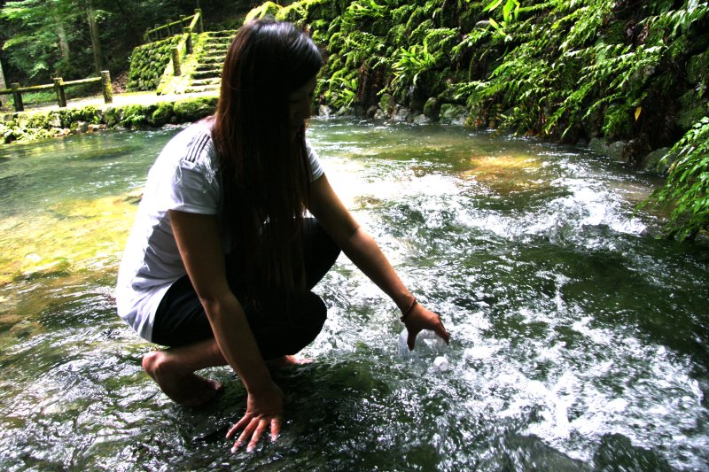 水質は石灰岩が溶出しておりミネラルが含まれて弱アルカリ性。