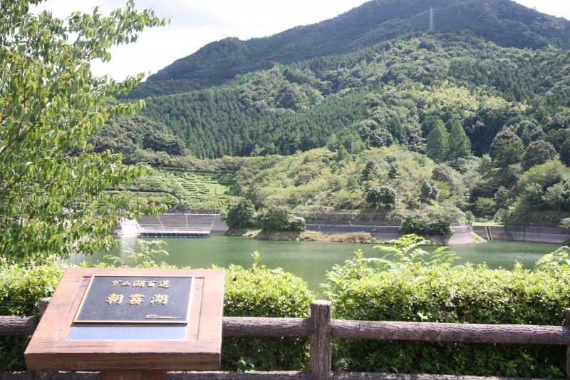 パノラマが広がる雄大な湖畔を一望できる野村ダム公園。