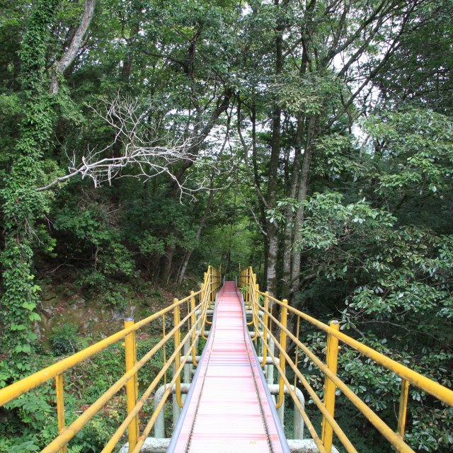 竜沢寺緑地公園