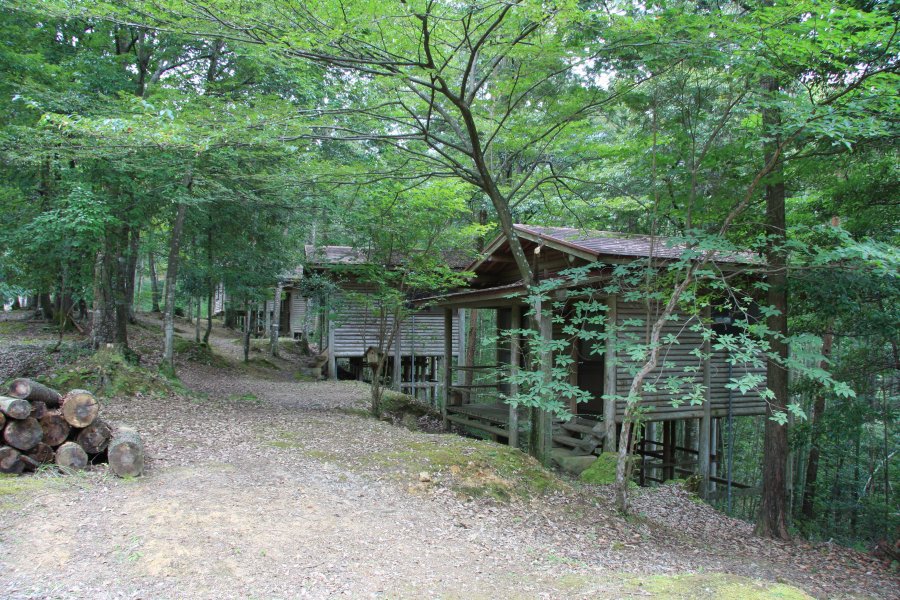 澄んだ空気と辺り一面が緑の世界で包まれた環境で宿泊できるバンガロー。