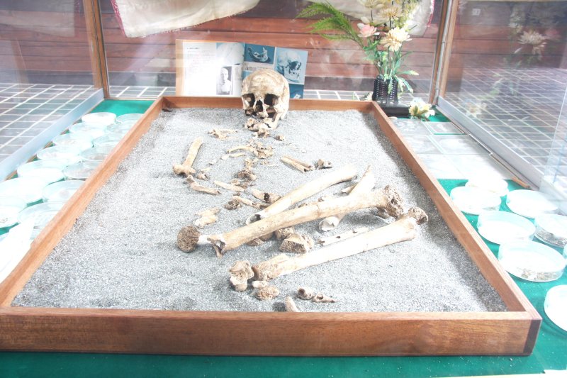 中津川洞遺跡で出土された縄文時代の女性の人骨。発見された当時の様子も写真で展示している。 