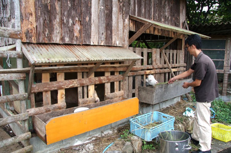 ヤギやウサギなどの動物が飼育されており、散策や餌やりも体験できる芝生広場。