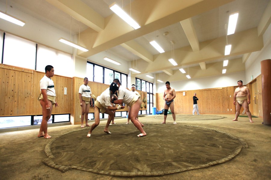 乙亥相撲道場では、力士たちが汗をかき練習に励む。