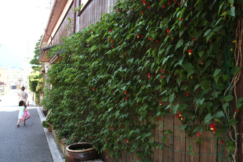 中町通りから少し入った静かな通りにある老舗醤油屋からは、香ばしい醤油の香りが風に乗り漂ってくる。