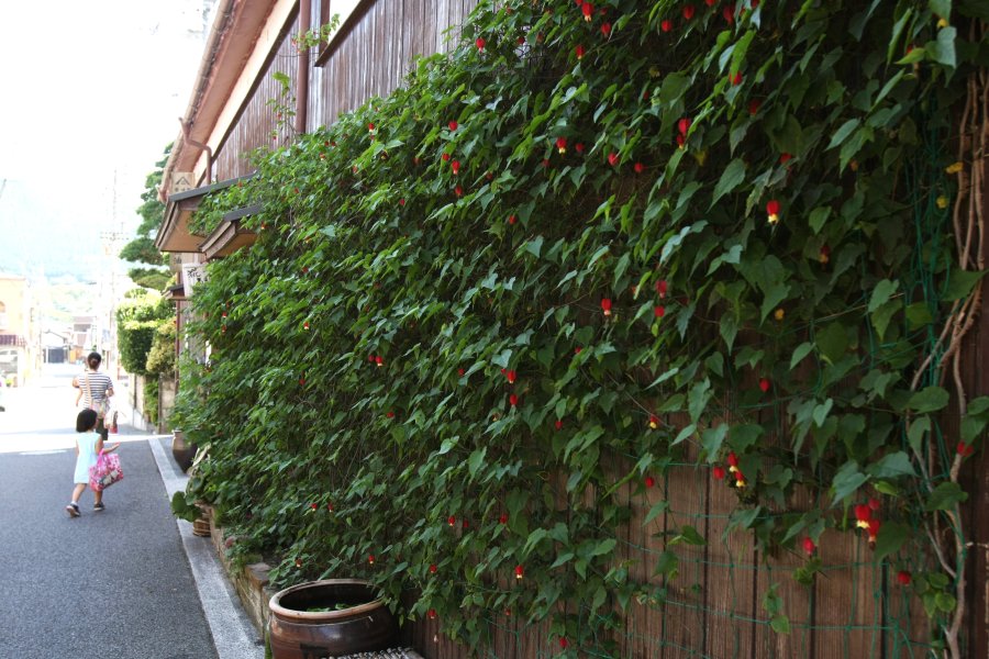 中町通りから少し入った静かな通りにある老舗醤油屋からは、香ばしい醤油の香りが風に乗り漂ってくる。
