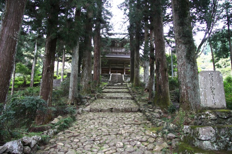 樹齢300年を越える杉の巨木に囲まれた苔むす石畳の参道を進めば、竜沢寺の歴史を肌でひしひしと感じられる。