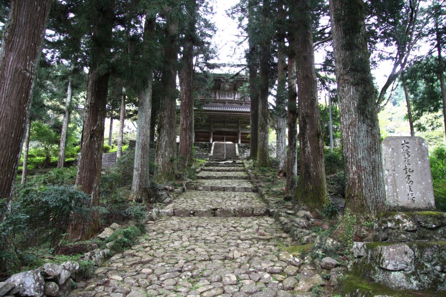樹齢300年を越える杉の巨木に囲まれた苔むす石畳の参道を進めば、竜沢寺の歴史を肌でひしひしと感じられる。