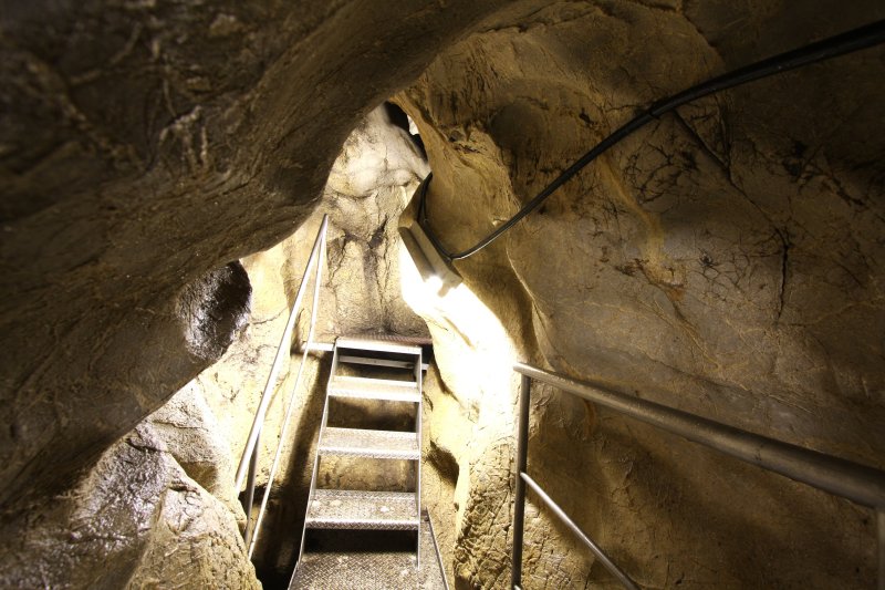 照明が点けられた洞窟内は、コンクリートの足場や手すりなどが整備されており、軽装備でも安心して洞窟探索をすることができる。