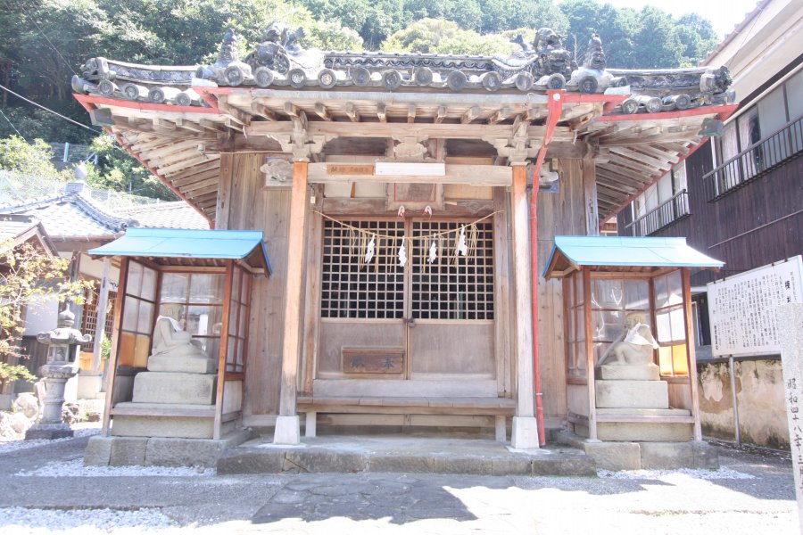 一見するとどこにでもある外観の神社だが、よく見ると狛犬が…。 