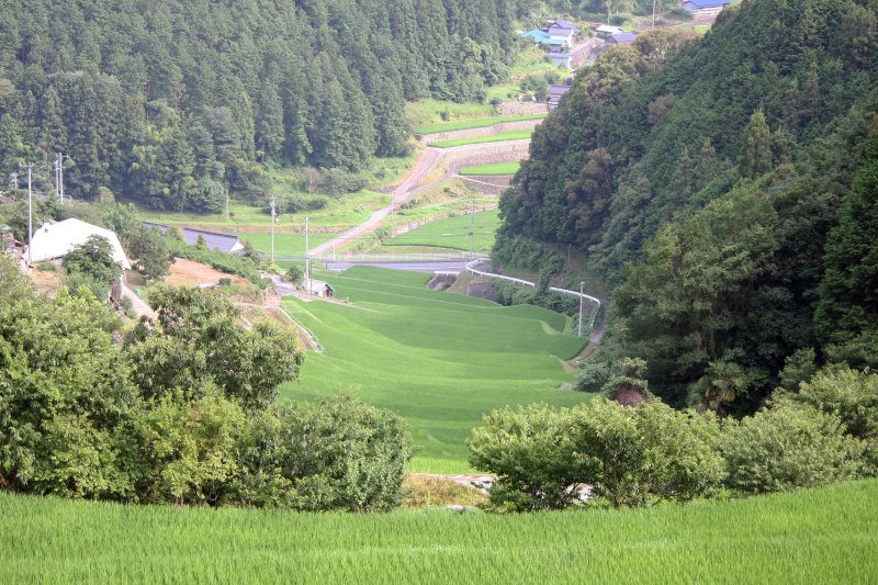 上から見た棚田の景色。多い枚数ではないが、自然と人間の共存が感じられる。
