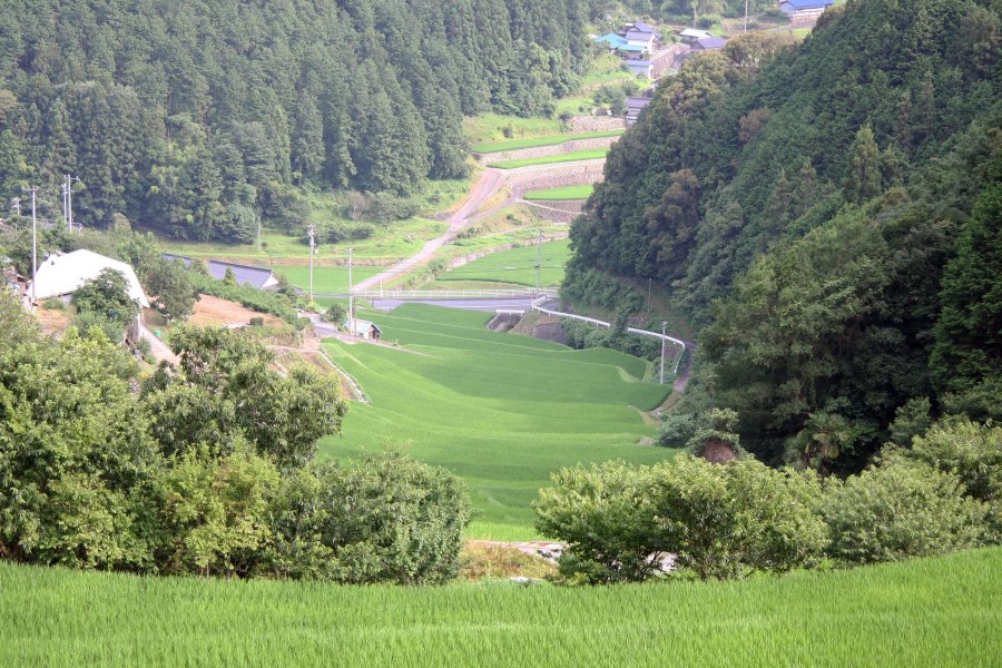 上から見た棚田の景色。多い枚数ではないが、自然と人間の共存が感じられる。