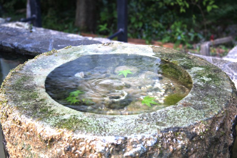 今でも潤沢に湧き出る男水は、まさに大自然の賜物。