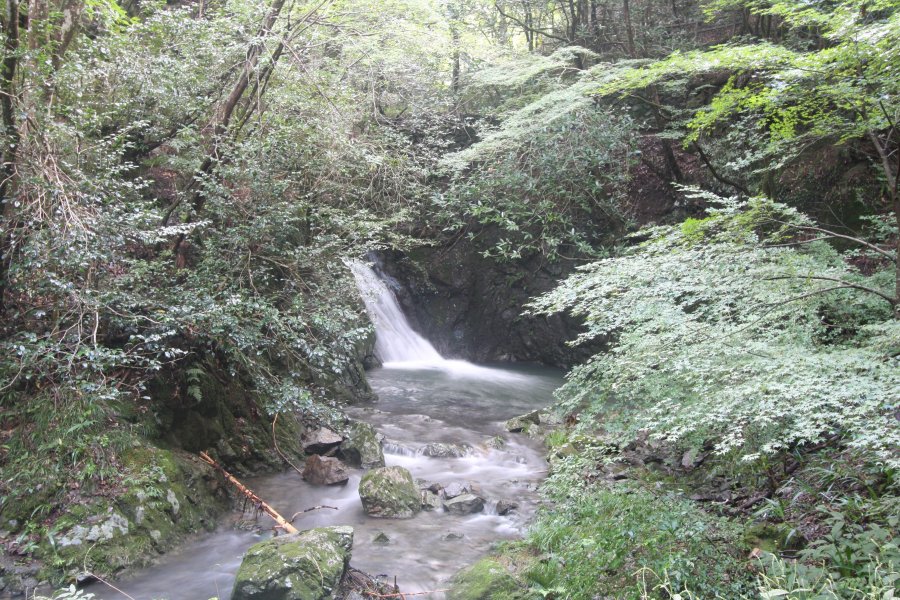 現在もなお潤沢な水をたたえている三滝渓谷自然公園の遊歩道途中にあるアカゴ淵。