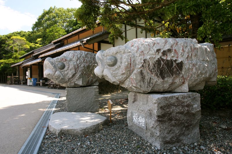 鯉の台座には和霊神社と出雲大社の「出世鯉・幸せ鯉・成就鯉」のお札とお守りが納められている。