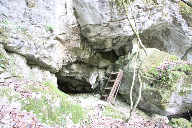 山間部の石灰岩にぽっかりと空いた隙間を潜り抜ければ、そこはもう静寂に包まれた神秘の世界が広がる。