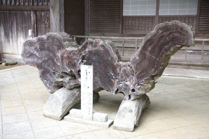 「弘法大使のお杖杉」と言い伝えられている千年杉の一部。原型の五分の一の大きさで、訪れた人は誰もが仰天する。