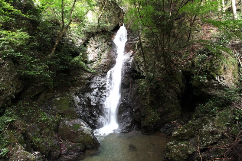 水は滝の岸壁にぶつかり白い飛沫（ひまつ）を飛び散らせながら、高さ15mの落差から一気に流れ落ちる。