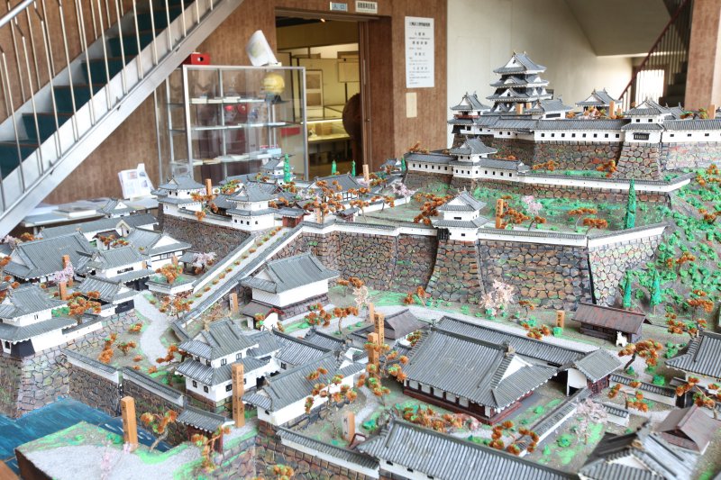 アンモナイトなど古代の化石の展示も多数ある。