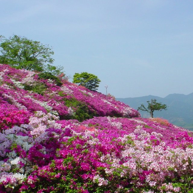 冨士山公園