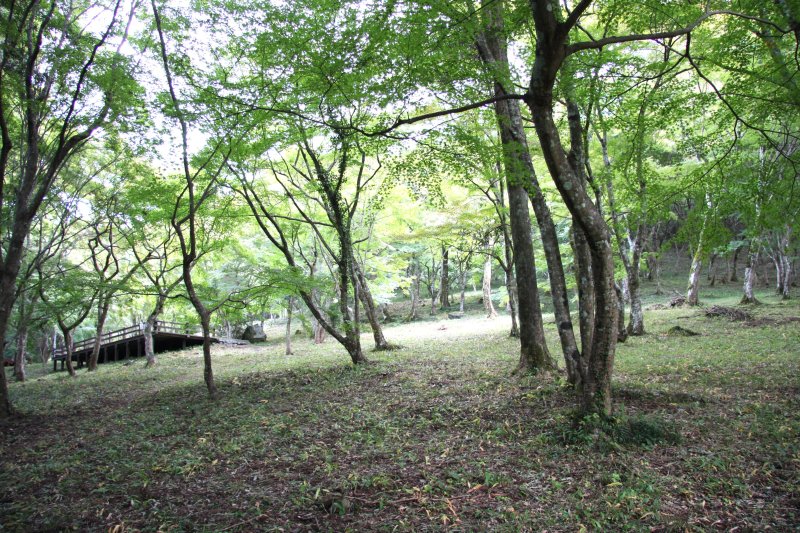 公園内は緑豊かに木々が生い茂り、自然散策に最適な公園となっている。