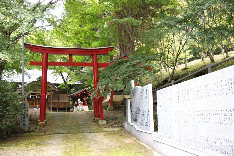 森林公園内に鎮座する稲荷神社。鳥居から一歩足を踏み入れると、空気は一変し厳かな雰囲気が漂う。