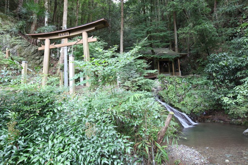 小さな鳥居を潜った瞬間から神秘的な雰囲気が漂う。