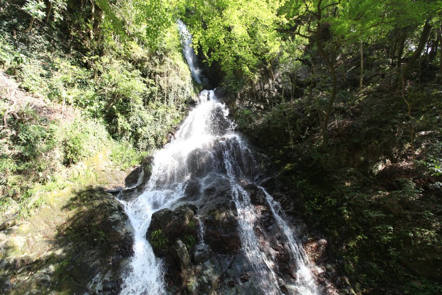 雌滝と名付けられた60mから流れ落ちる滝はまさに圧巻。自然が創りだす絶景に心打たれる。