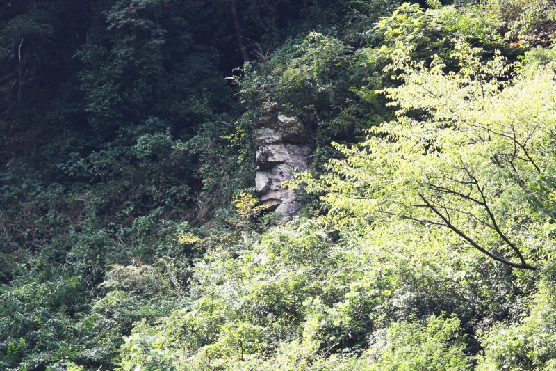 人面岩は人工的に彫られた石造。高さ約5m、巾3mあり山肌から県道長浜保内線沿いを見下ろしている。