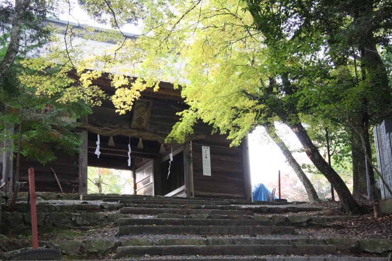 階段を登りきると、立派な随身門が出迎えてくれる。その大きさからは、威厳さえも感じられる。