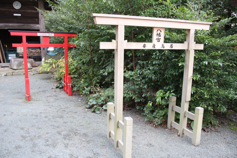 境内には安産鳥居や厄払い鳥居など、鳥居をくぐればご利益があるとされる様々な鳥居がある。